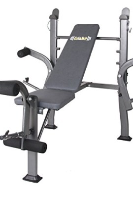 Body-Champ-Standard-Weight-Bench-with-Butterfly-Dark-GrayBlack-0