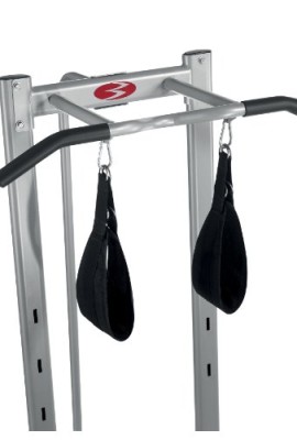 Bowflex-BodyTower-0-2