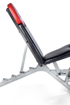 Bowflex-SelectTech-Adjustable-Bench-Series-51-0-0