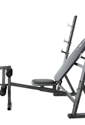 Gold s Gym XR 10.1 Weight Bench Training Equipment Direct