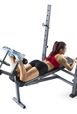 Gold's gym xr discount 10.1 olympic weight bench