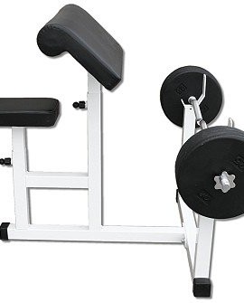 Pro-Preacher-Curl-Bench-By-Deltech-Fitness-0-0