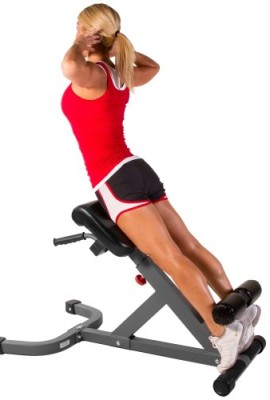 XMark-Fitness-11-Gauge-45-Degree-Hyperextension-Ab-Machine-0