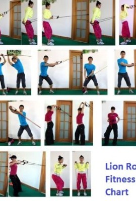 Lion-Roar-Fitness-Set-of-X-Safe-Adjustable-Patented-Twin-tubes-Resistance-Band-Set-up-to-45-LBS-and-Durable-Pull-Up-Chin-Up-Bar-Best-Value-0-2