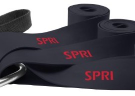 SPRI-Pull-Up-Assistor-Resistance-Band-0
