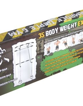 Shamrock-Triple-Pullup-Dip-and-Suspension-Gym-0-5