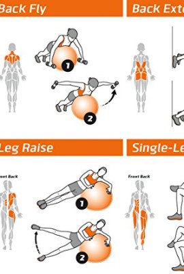 Exercise-Ball-Poster-Total-Body-Workout-Your-Personal-Trainer-Fitness-Program-for-Women-Swiss-Yoga-Balance-Stability-Ball-Home-Gym-Poster-Tone-Your-Core-Abs-Legs-Gluts-Upper-Body-Motivational-Work-Out-0-0