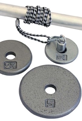 Power-Wrist-Roller-w-1-Grey-Plates-125lb-25lb-5lb-0