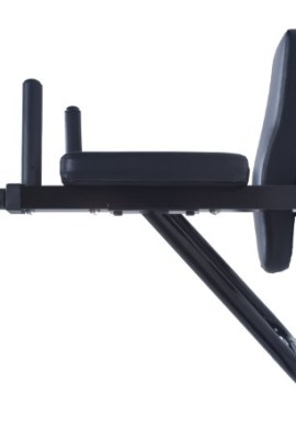 Ultimate-Body-Press-Wall-Mounted-Dip-Station-with-Vertical-Knee-Raise-0-0