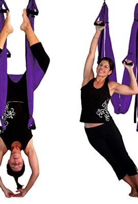 Inversion-Sling-Original-Gravotonics-Yoga-Swing-Purple-0