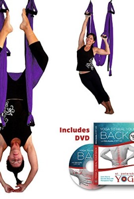 Inversion-Sling-Original-Gravotonics-Yoga-Swing-Purple-Yoga-Back-DVD-0