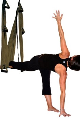 Inversion-Sling-Yoga-Swing-Bronze-0-2