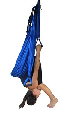 Wing-Yoga-Inversion-Swing-with-Straps-Blue-0-0